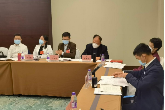 海南省政協(xié)委員王雁磊：盤活破產(chǎn)存量閑置項(xiàng)目資產(chǎn)，擴(kuò)大內(nèi)需增加投資