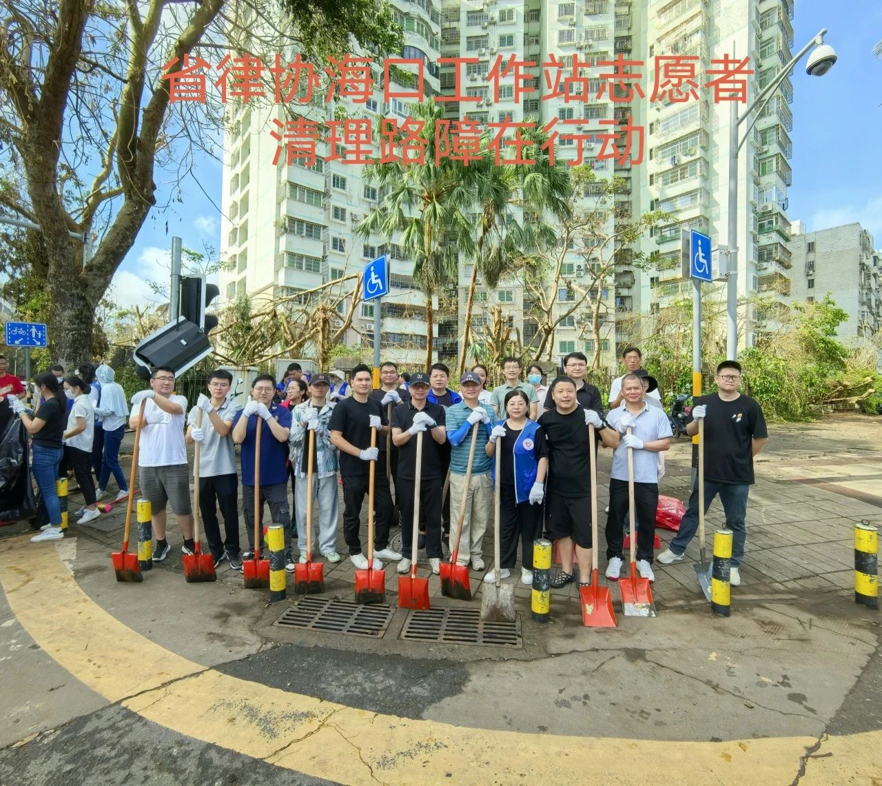工作站動態(tài)｜海南省律師協(xié)會?？诠ぷ髡窘M織律師積極參與臺風后街道清理公益活動